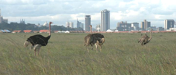Day 1 Nairobi - Masai Mara